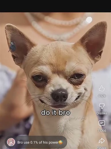 🥰🤩 He Couldn't Resist The Temptation #badass #kick #prank