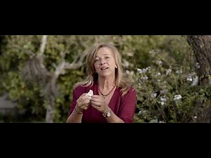 Matrix-2-Point® Lebenscoaching