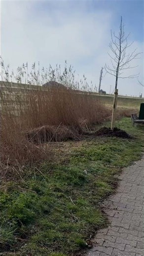 So ruhig ist Deutschland wirklich 😱 Spiekeroog!