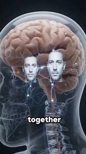 How Can Your Brain Remember a Face You've Seen Only Once?