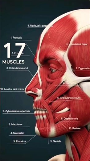 short knowledge video #facts knowledgeshortvideo #knowledgeispower