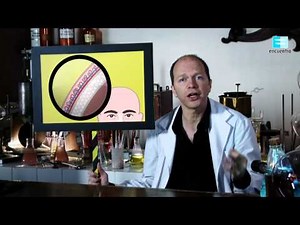 Chichones - Ciencia a lo bestia - Proyecto G