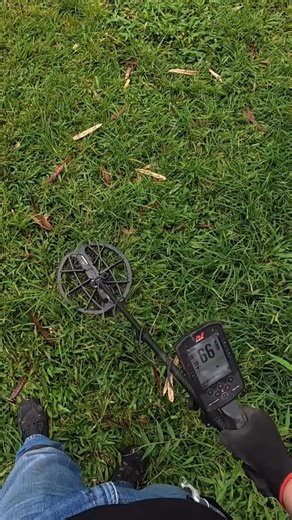 Incredible Find With Metal Detector: Treasure Discovery