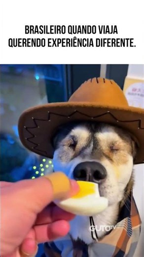 How Brazilians act on vacation, wanting a unique experience #voicedoveranimals