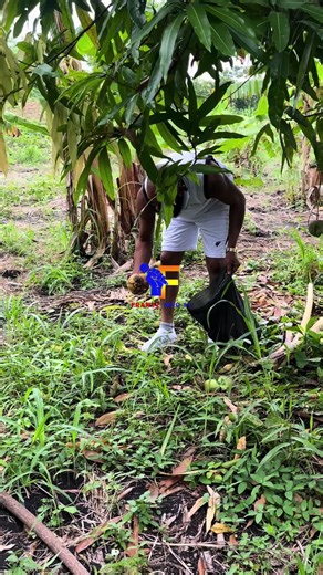 #frantz #bdtiktokofficial #frantzshow #lyrics #black #ou #creatorsearchinsights