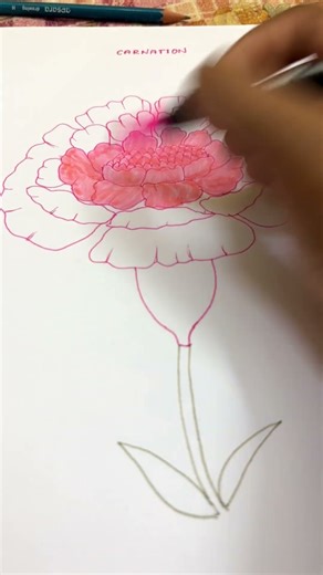 Day 10 – How to Draw Carnation Flower | 30 Days Drawing Challenge #flowerdrawing #artchallenge