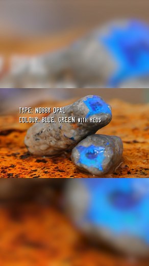 The crew finds type Nobby opals with blue and green colours, weighing around 450 grammes and worth at least 15,000 dollars. | Aussie Gold & Opal Hunters