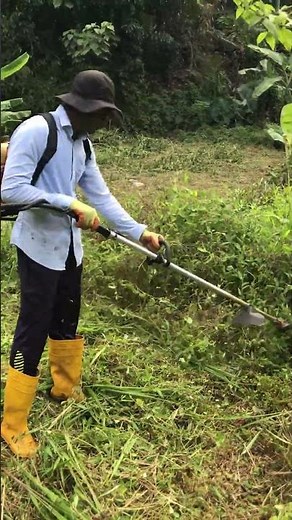This Machine Destroys Tall Grass! 😱🔥