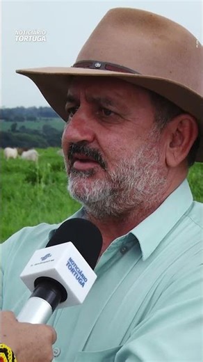 Tecnologias em sistemas e suplementação garantem avanço produtivo | Noticiário Tortuga