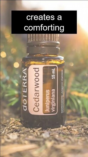Cedarwood essential oil benefits and uses