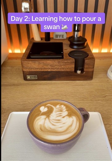 Day 2 of learning how to pour a swan 🦢 Not bad for the second day 👀 gotta tighten it up a bit but I’m happy with the progress 🙌🏼 #coffeetiktok #coffeetok #latteart #homebarista #coffeeathome