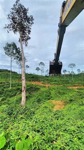 Os vídeos de genios.investem (@geneos.investem) com som original - genios.investem