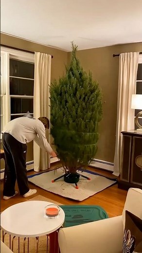 Bad Christmas Tree!!! #funny #lol #christmas