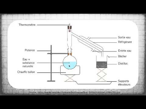 Hydrodistillation : une technique d'extraction