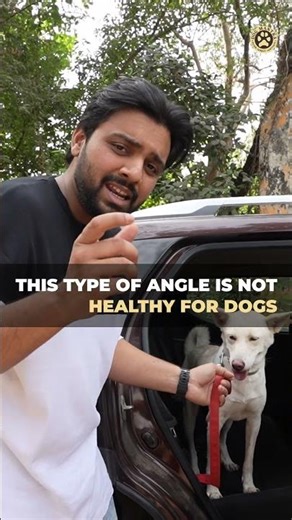 Struggling With Car Rides? Try This Simple Trick!