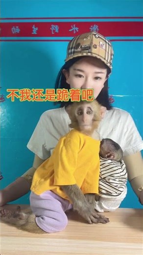 The big monkey got jealous seeing the beautiful woman holding the little monkey.#monkey #funny