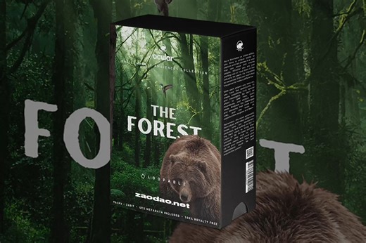 72组大自然森林树叶沙沙作响风声鸟叫声无损音效设计素材Ocular Sounds – Forest Sound Fx