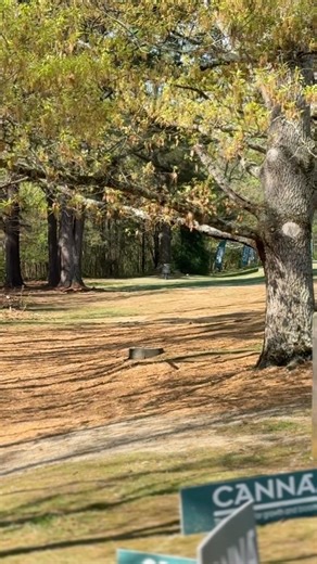 This is what 480’ on a rope looks like. #discgolf #queencityclassic #dgpt