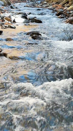 This River Flow Is Hypnotic 🌊 Pure Nature ASMR #nature #naturetranquility #naturesounds