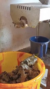 Mini oil mill machine WhatsApp me 91 90983 83797 | Punjab Engineering Corporation