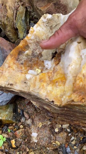 A magnificent white stone containing gold.