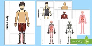 Human Body Interactive Visual Aid