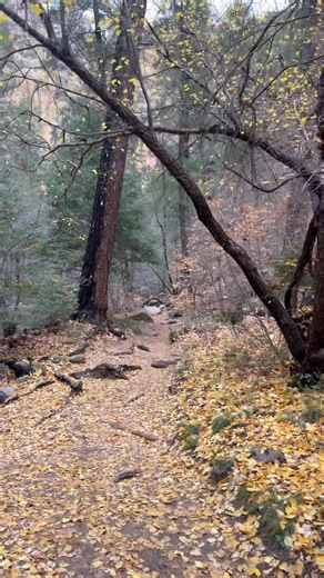 Johnston Michelle on Reels