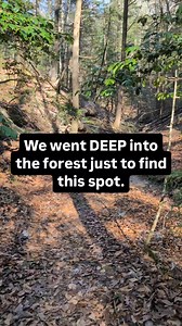We went deep into Bankhead National Forest to find this one spot. Do you think it was worth it? #adventuresinalabama #visitnorthal #getoutgetwild #wearenorthalabama #visitalabama | Huntsville Adventurer