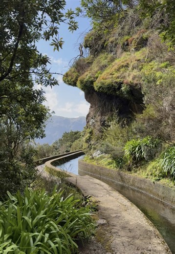 Explore the Ancient Laurisilva Forest of Madeira