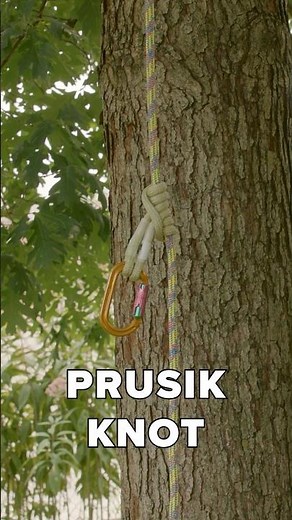 Prusik knot tutorial #treework #arborist #shorts