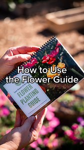 Meet my new Flower Guide—the perfect companion to help low-desert gardeners fill their yard and garden with flowers. Whether you’re just starting or have been growing for years, this guide makes growing flowers simple: • When to Plant – Take the guesswork out of timing. • Quick QR Codes – Instantly access my guides for how to grow each flower and where to find seeds. • Detailed Growing Info – Light needs, frost sensitivity, spacing, and more, all at your fingertips. Let’s make 2025 the year of b