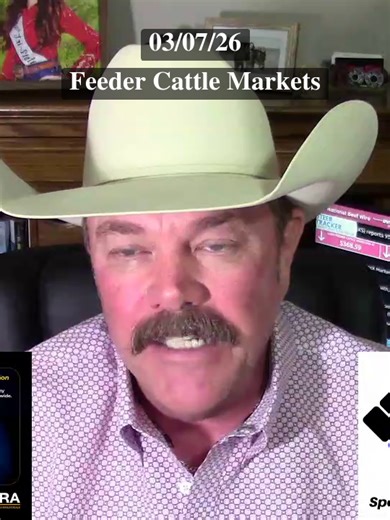 [3/6/26] Feeder Cattle Markets #FeederFlash #Livestock #CattleMarket #DVAuction #Cattle @dvauction.com
