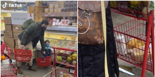 Viral video of a dog urinating in a Trader Joe's store sparks intense debate