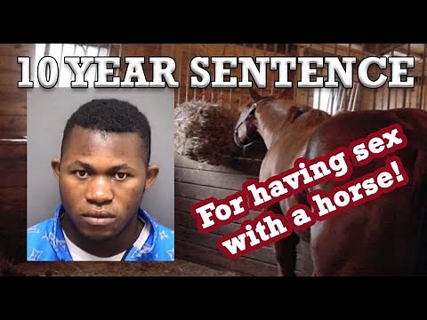 SEX WITH A HORSE - Texas Man Sentenced to 10 Years for Beastiality | Jean Marie Bugoma