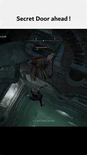 how to save 20 min of ragebait #eldenring