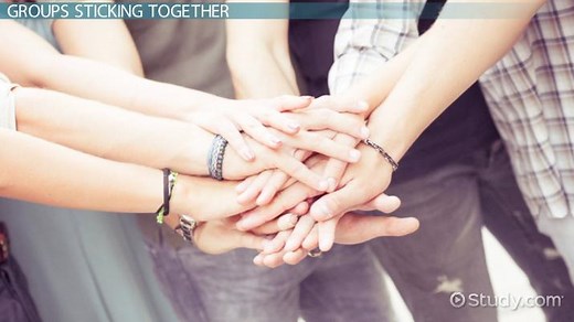 Social Cohesion Definition & Examples