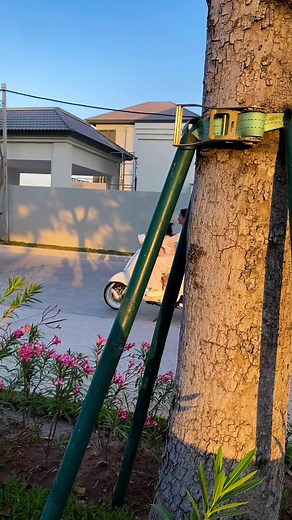 11K views · 120 reactions | Testing Vespa@ | Hang Mariny ហង្ស ម៉ារីនី | Facebook