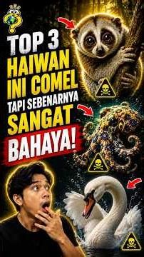 Gila! Haiwan Ni Nampak Je Comel Tapi Sebenarnya... #facts