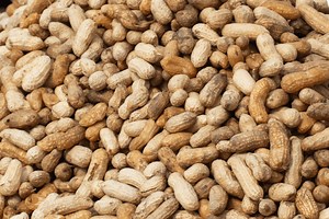 Peanut Recall Update for 19 States As FDA Sets Risk Level
