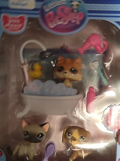 small Chrisman lps haul, my family says I'm too old for lps 😪🙄#littlestpetshoptiktok #lpstiktok #lpscollection #lpsmystery