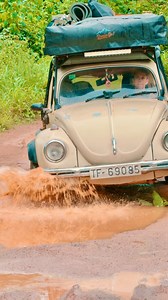 8.2K views · 2.9K reactions | 2019 Un viaje sin rumbo. Solo GANAS....