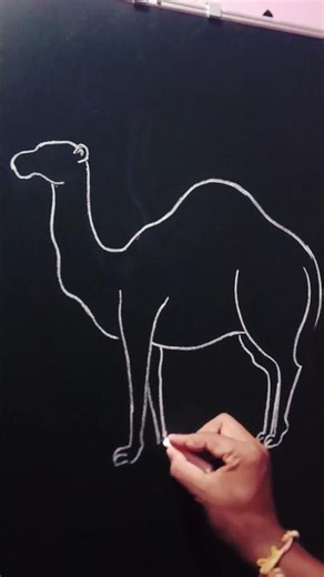 Easy camel drawing 🐪🐪🐪 #vairal #shotsdraw #art