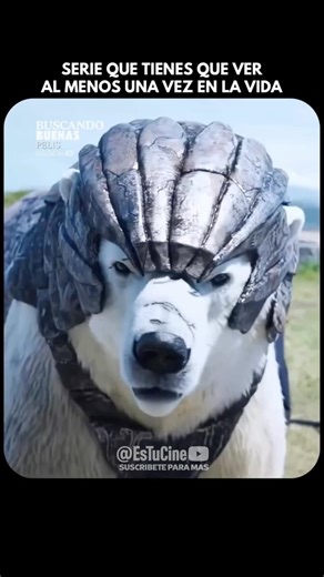 Nombre: La materia oscura (His Dark Materials) (2019) #peliculas #cineyseries #series #pelicula