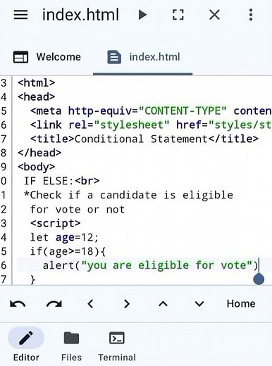 Conditional Statement (if else) in JavaScript