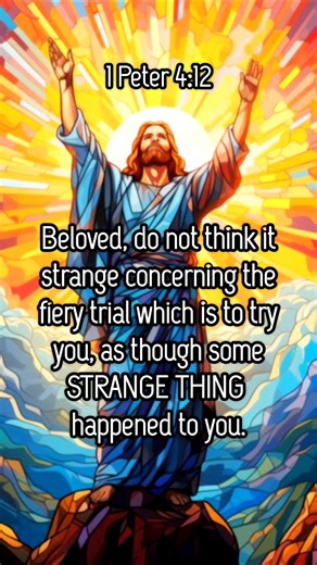 Light in Darkness💡