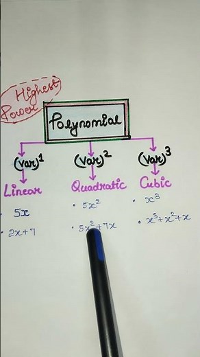 Polynomial (Linear, Quadratic , Cubic) | Class 9 Math | Chapter 2
