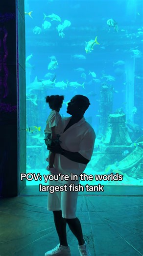‏The worlds largest fish tank