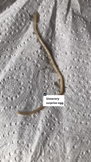 Dealing with Worm Infested Eggs: A Surprising Dilemma