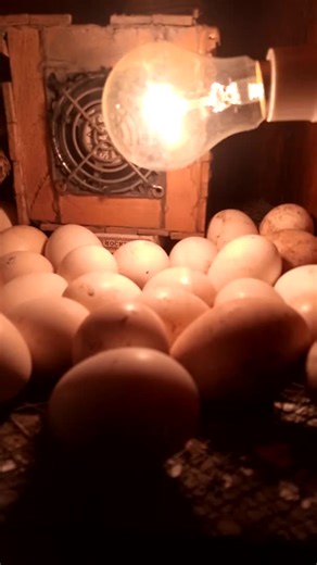 hatching method review