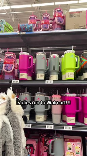 My Walmart run ended up with me getting a new Stanley 😊. #stanleycup #fypシ #viralvideo #walmartfinds #viraltiktok